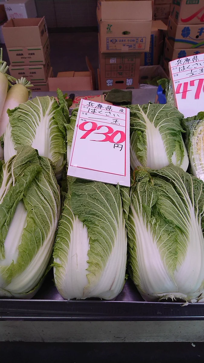 今年初めの鍋料理は何時から？野菜の価格高騰が勢いを増して止まらないｗｗ