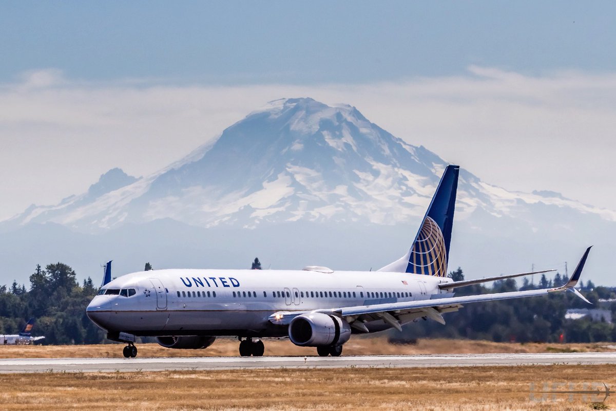 UnitedFlyerHD tweet media