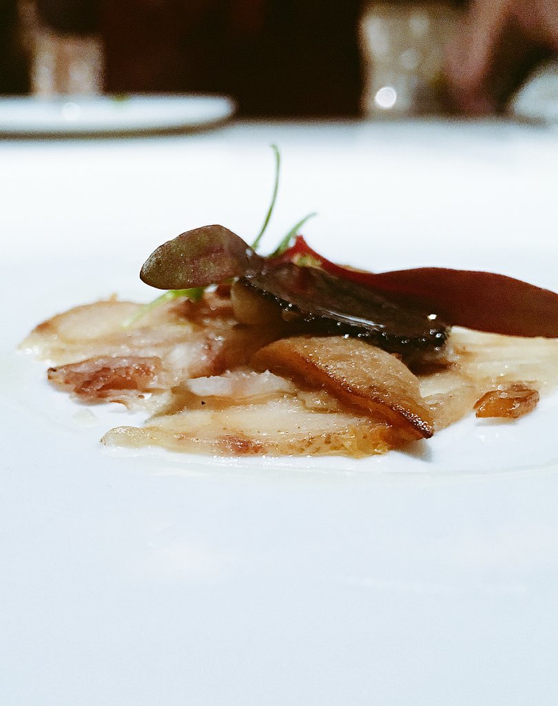 Acornseekers's tweet photo. Amazing tasting with our partner in Houston, @DRDelicacy, at @BCNHouston. Thank you Chef Luis Roger and team for such an incredible culinary artworks.
#acornseekers #ibericus #iberico #acornfed #pig #pork #meat #healtyfood #organicfood #pigfriendly #farmtotable https://t.co/MybWFK7oIj