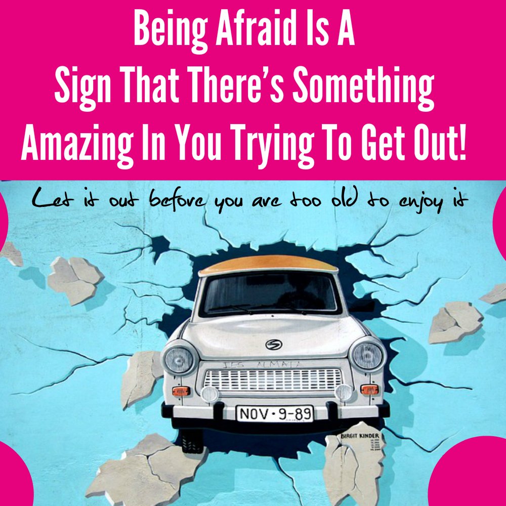 WomenElevatingWomen tweet media