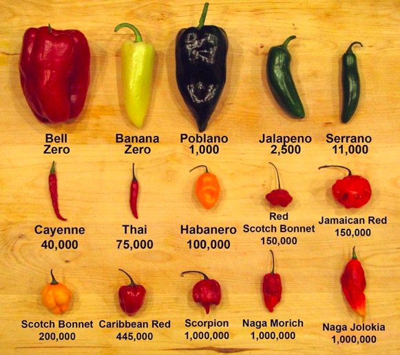 Anticancergirl On Twitter The Heat Of A Pepper Is Judged On The Scoville Scale The Higher The Scoville Heat Units Shu The Hotter The Pepper The Hottest Pepper In The World Is