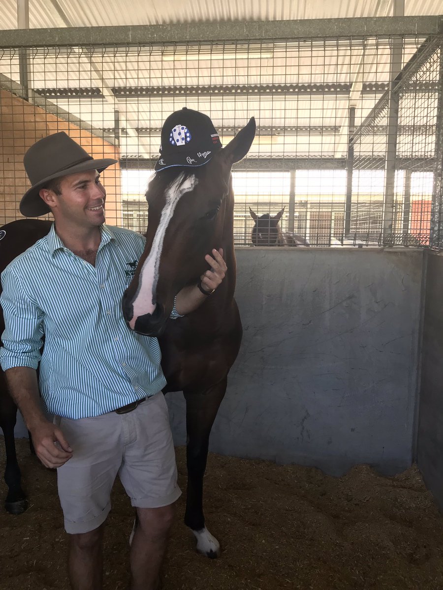 wylie_dalziel's tweet image. New family member joining the team lot 60 from the Magic Millions real 2YO colt running type @moodyracingpgm @lindsayparkrace @mmsnippets