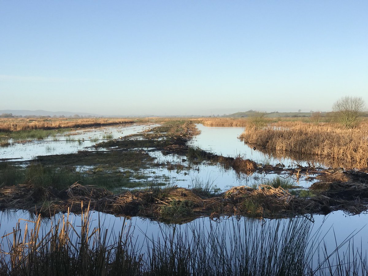 Phil Brewin tweet media