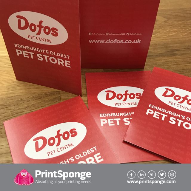 #billholders - #design &amp; #printed by #printsponge. These are great marketing tools for businesses - get your brand and contact information out to a further audience. 
#graphicdesign #toptags #design #designer #designs #graphic #graphics #illustrator 

<a href="/dofospetcentre/">Dofos Pet Centre & Dog Grooming</a>
