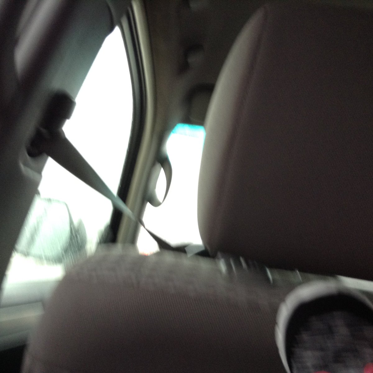 LEAH_rda07's tweet photo. Found random photos in the cloud that were taken by my niece on my iPad. https://t.co/tWqQ7Klwr7