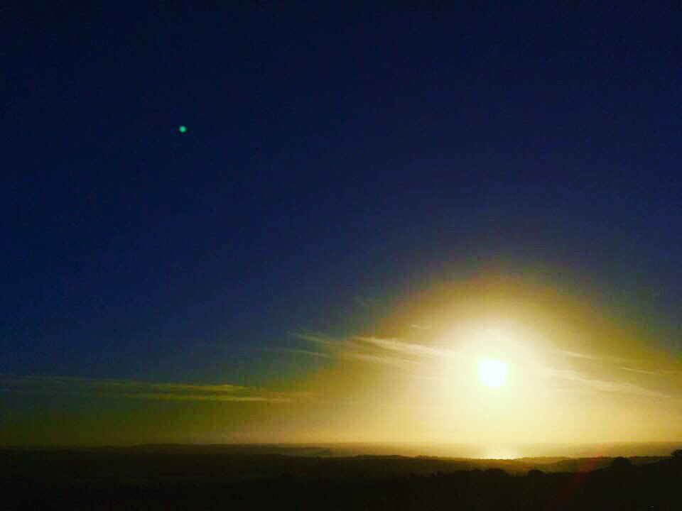 Tom Leaper tweet media