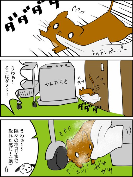 デグー を含むマンガ一覧 4ページ ツイコミ 仮