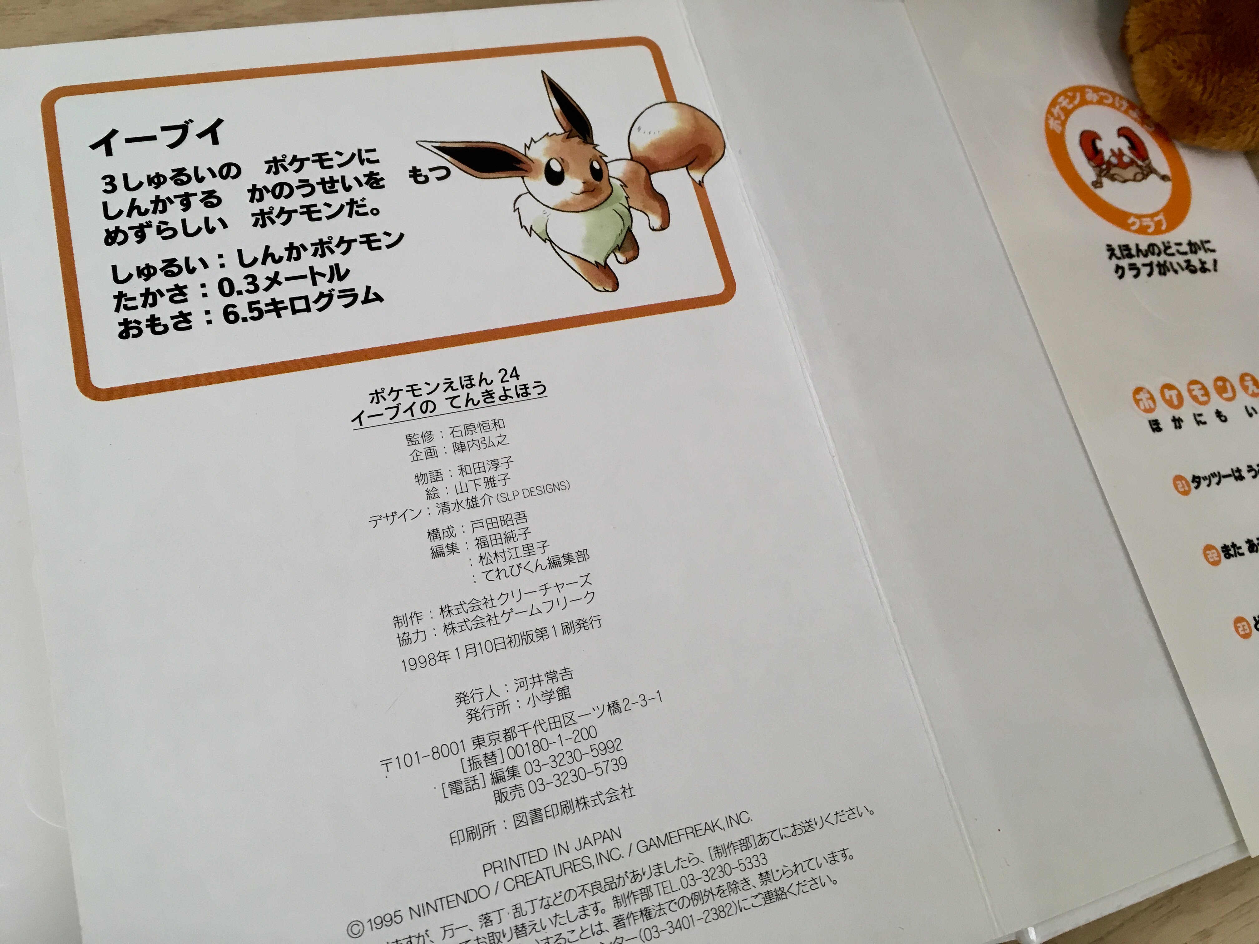 訳あり福袋 送料無料 セール わけあり 福袋 レディ 公式】プロジェクトイーブイ（続） on X:  その他