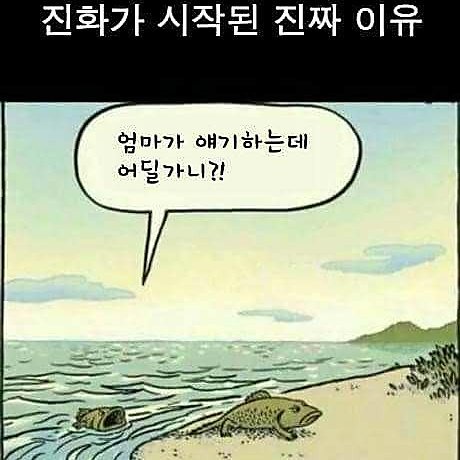 peninsula76's tweet photo. 인류 역사상 가장 그럴싸한
진화론! https://t.co/pe39ZsIjzb