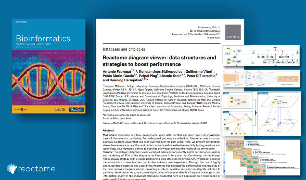 reactome's tweet photo. Have you noticed the performance boost in our pathway #DiagramViewer? Well, it wasn't magic! If you're curious to know how we did it, check out the publication in @OxfordJournals explaining the data structures and strategies we used https://t.co/KCQ4HCMMk5 #PathwayBrowser https://t.co/EhAxOUxUsV