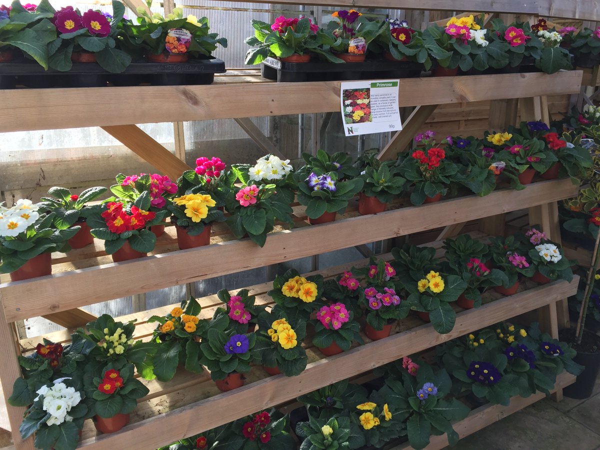 Now is the time for planting for instant winter colour - we've got a great choice - come and see us soon....and enjoy coffee or lunch in our restaurant.