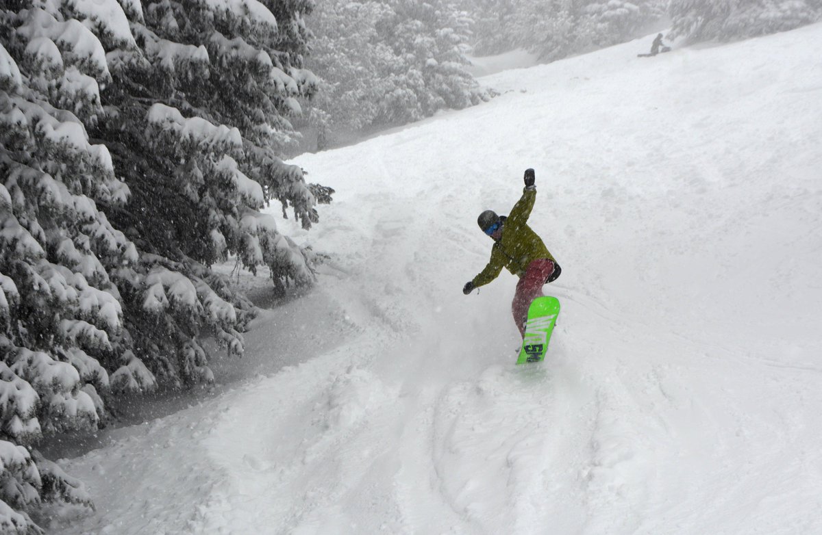 AZSnowbowl's tweet photo. POWDER ALERT: 14" of fresh #snow! The most overnight snowfall in North America! #winterishere #powder #flagstaff #arizona https://t.co/rxltZTqc7I