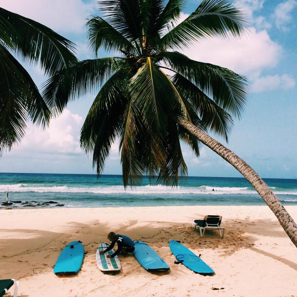 RajaSar4's tweet photo. Where i'd rather be 🌴 https://t.co/1VXIbMyS5S