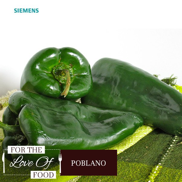 SiemensHome_In's tweet photo. Poblano, also known as the medium spicy Mexican caper is best enjoyed roasted or charred. Funnily enough, this green gun gets sweeter with age! #ForTheLoveOfFood https://t.co/skFVBPyhNt
