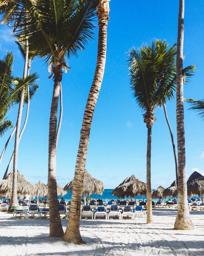 RajaSar4's tweet photo. Where i'd rather be 🌴 https://t.co/1VXIbMyS5S