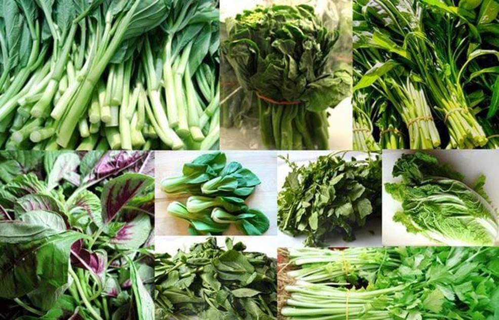mha_app's tweet photo. Boost Magnesium By Eating More Greens. Anything naturally green is a great source of magnesium. #greenfood #green #greens #foodie #smoothie #cleaneats #cleaneating #spinach  #superfoods #healthyeating #healthyfood #lettuce #greenveggies #greenplant #vegetablegarden  #greensalad https://t.co/7H0ndC4eVi