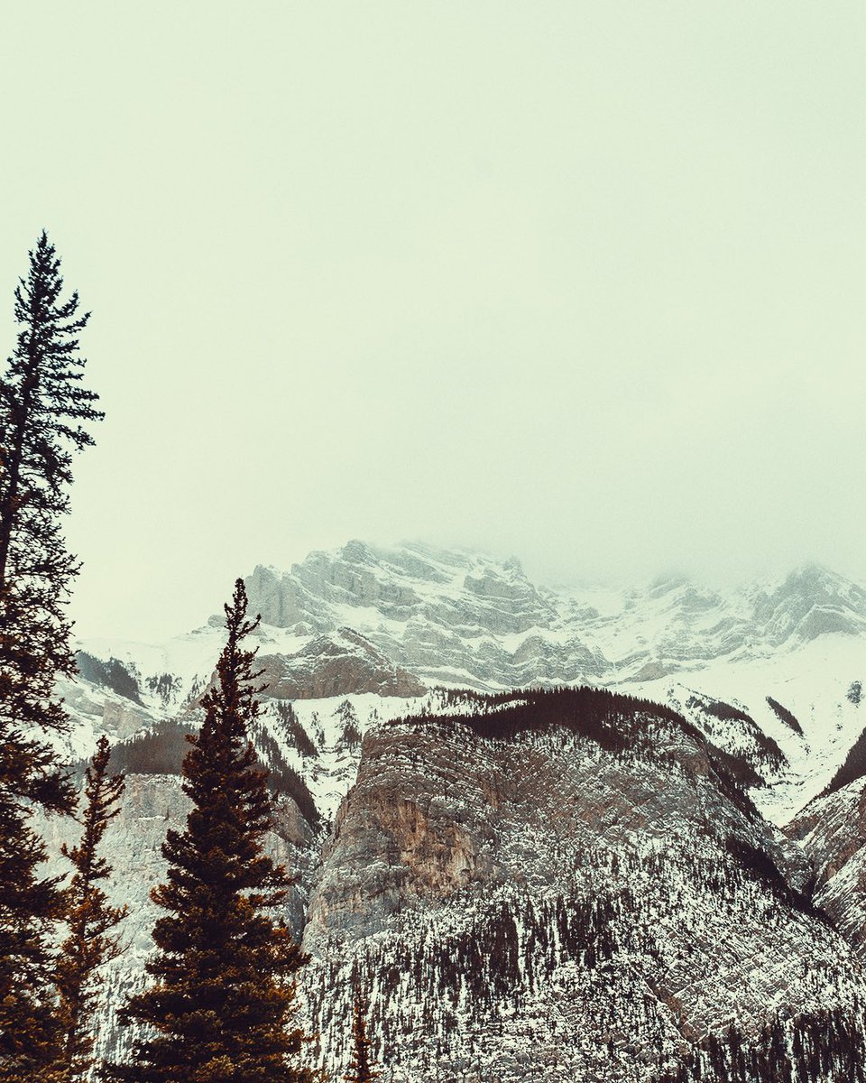 rillyvisuals's tweet photo. Banff, Alberta

#ExploreCanada #TravelCanada #ExploreAlberta #TravelAlberta #TourismAlberta #Banff #BanffNationalPark https://t.co/5gyxzGzkoO