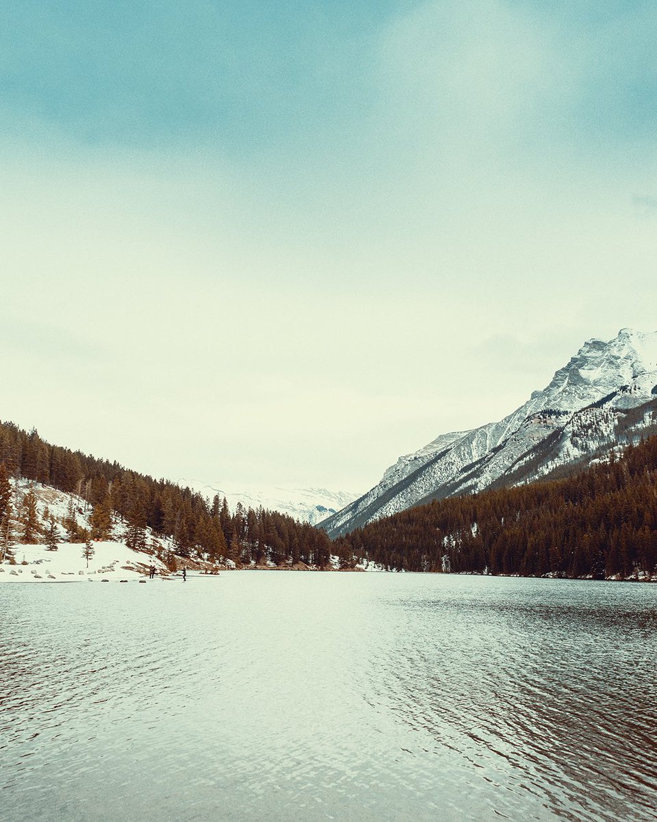 rillyvisuals's tweet photo. Banff, Alberta

#ExploreCanada #TravelCanada #ExploreAlberta #TravelAlberta #TourismAlberta #Banff #BanffNationalPark https://t.co/5gyxzGzkoO