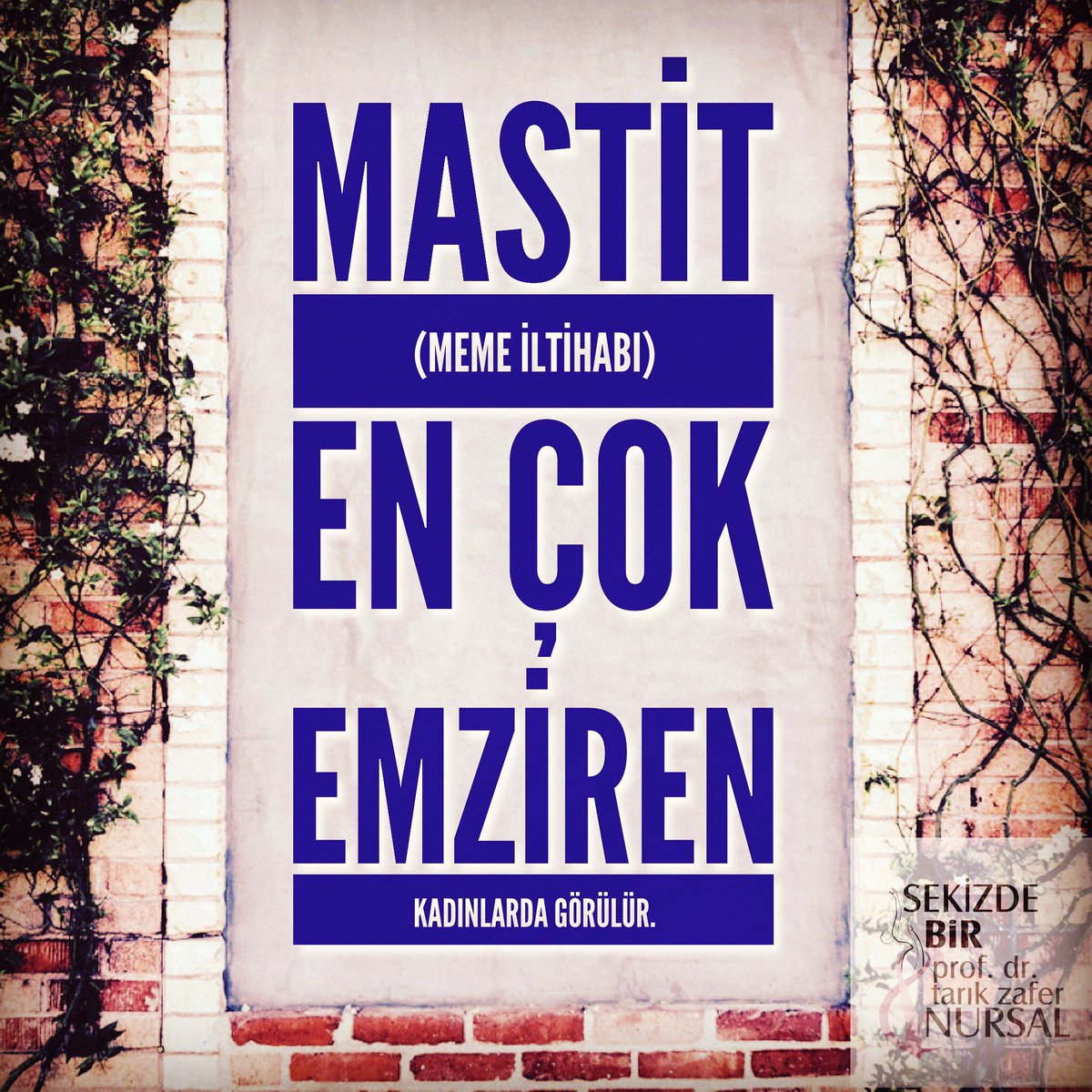 tarikznursal's tweet photo. #mastit #mastitis #lactation #breast #meme https://t.co/r6IkeXrA73