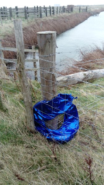 EssexWildlife's tweet photo. This #balloon was found caught on a fence at EWT Tollesbury Wick. Luckily it was picked up before it got blown out into the estuary, and before any of the cattle ate it! Please do your best to keep this in mind the next time you buy or use balloons #PlasticAwareUK https://t.co/IsyvOWrCJX