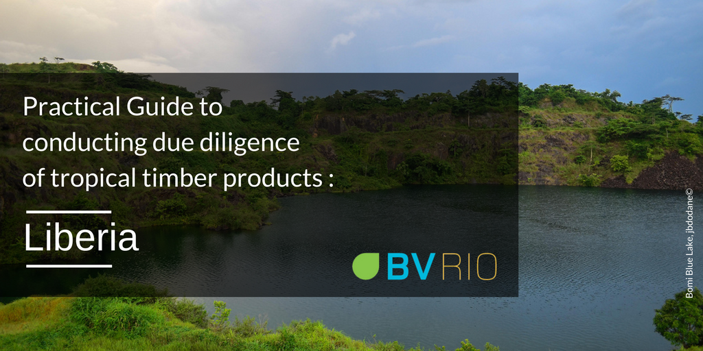 BVRioBrasil's tweet photo. @TimberBVRio @BVRio published today a practical guide to conducting due diligence of tropical timber products, profiling #Liberia. Publication available for #download π https://t.co/dXexR9iiC8? #LegalTimber #ResponsibleTimber #DueDiligence https://t.co/lCZeKpu1Gp