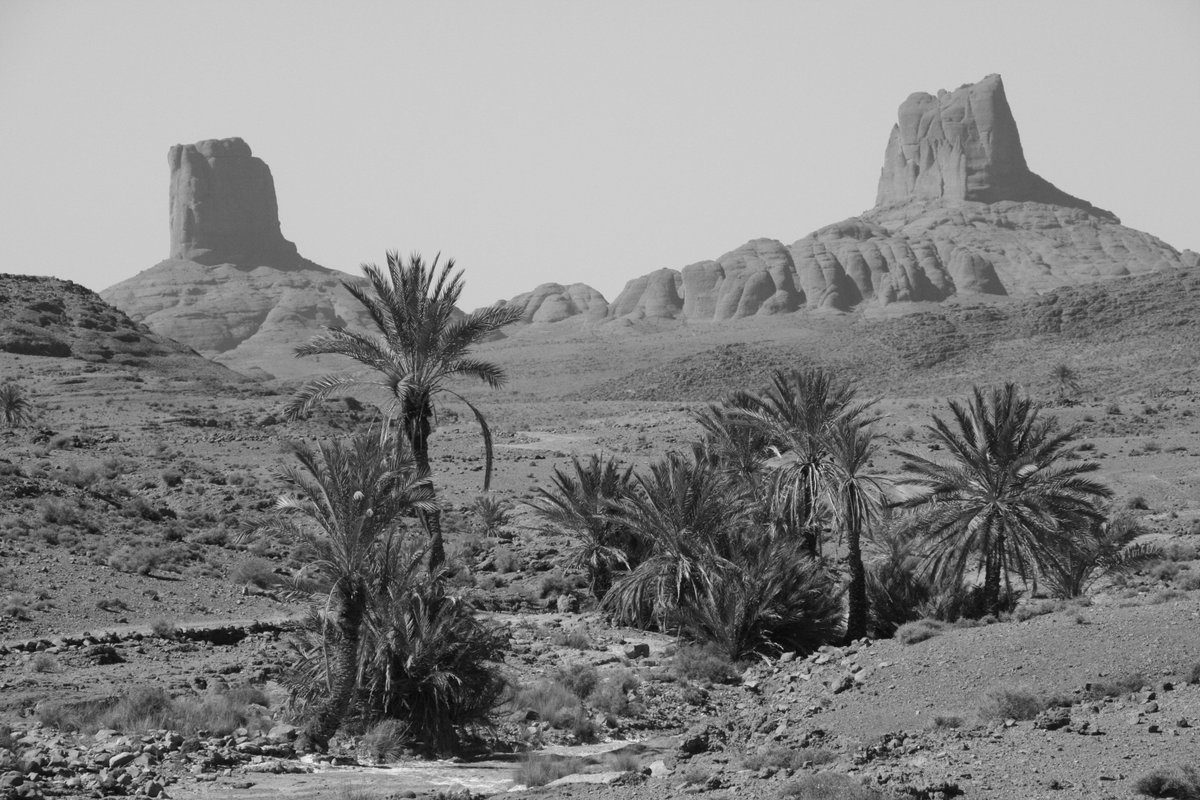_trekinmorocco's tweet photo. Please come along to the first of our three #presentations at #AdvTravelShow on Saturday 20th January: On foot through the #Atlas #Mountains of #Morocco 
  https://t.co/W2y1YbIqpT https://t.co/VjhuNfWqIy