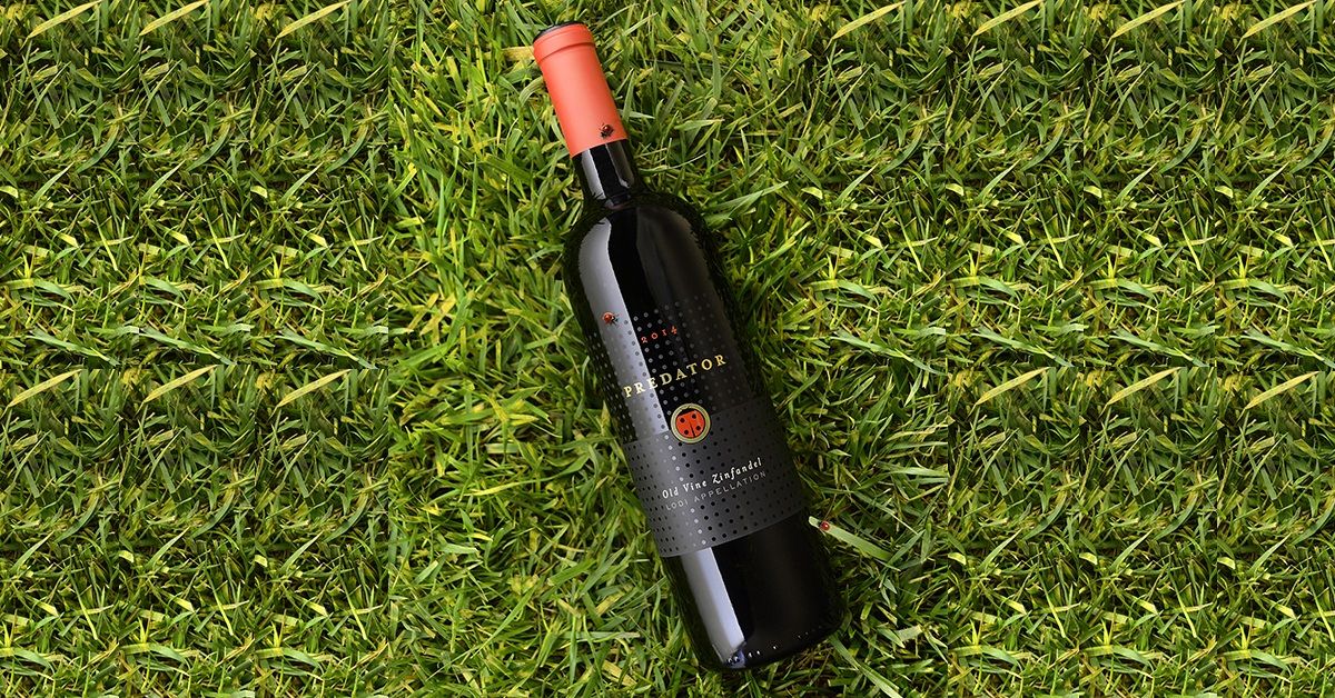 londoncomps's tweet photo. #ContenderUpdate: @RutherfordRanch- Rhiannon Red Wine expresses the style and character of every harvest through its unique blend of Petite Sirah, Syrah, and Barbera. Know more https://t.co/eDFnd0kKKz
#wine #redwine #londonwinecompetition #napa https://t.co/WduhxLVfhC