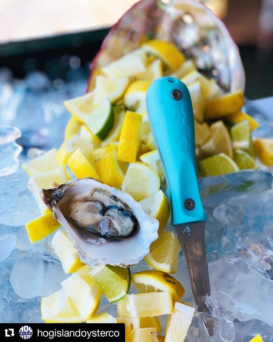 Oyster Toadfish Recipe Dandk Organizer