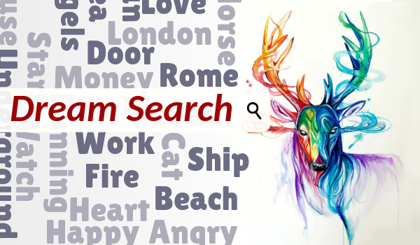 Dream Guide tweet media