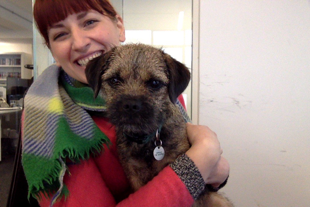 emilieravi1982's tweet photo. When your colleague brings his adorable dog to work #melting #photoboothtime https://t.co/wNKfuJONsO