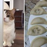 これこそ幻の肉球餃子w美味しそうな餃子をみてついついマーキングしちゃった!