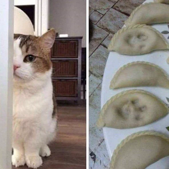 これこそ幻の肉球餃子w美味しそうな餃子をみてついついマーキングしちゃったwww