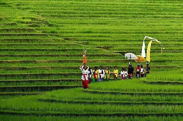 repost by @djsaxsingerjimmy (instagram.com/djsaxsingerjim… )
Location :   #Bali

Proud to call Bali as our home 🌴
.
Amazing shot by @agraputu via @nakbaline
.
#bepartofourfamily at @casalunaubud 📷: @casalunaubud  (on instagram).
.
.
.
#balilife