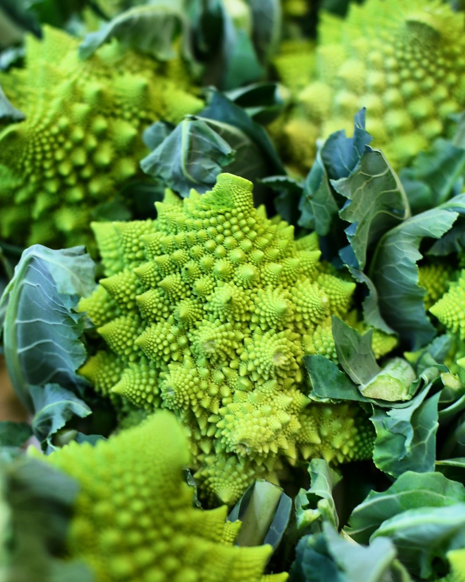 PFoodsWholesale's tweet photo. Roman cauliflower or Romanesco broccoli arrives at Premier Veg enquiry info@premierfruits.com #asfreshasitgets #freshproduce #foodmarket #londonproduce #foodservice #cateringindustry #romanesco #broccoli #veggie #foodsupplies #cheftake #instafood #instagood #london https://t.co/6JuRt0VhsB