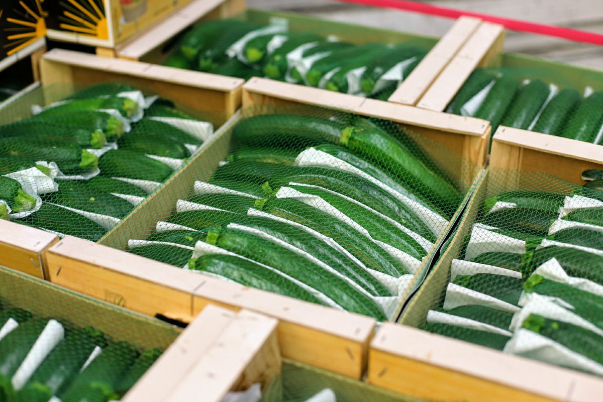 PFoodsWholesale's tweet photo. Quality produce at Premier Fruits - courgettes for enquiry info@premierfruits.com #asfreshasitgets #freshproduce #foodmarket #londonproduce #foodservice #cateringindustry #courgette #veggie #foodsupplies #cheftake #instafood #instagood #london https://t.co/l0C2dRwdLJ https://t.co/hoGTfW2NJd