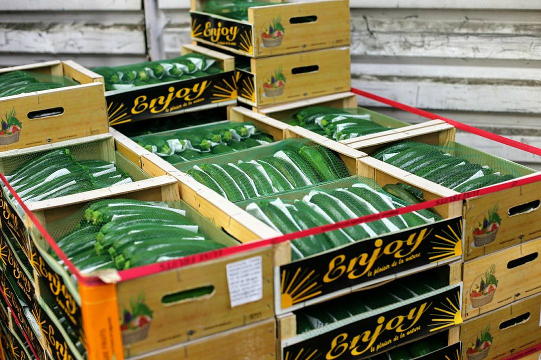 PFoodsWholesale's tweet photo. Quality produce at Premier Fruits - courgettes for enquiry info@premierfruits.com #asfreshasitgets #freshproduce #foodmarket #londonproduce #foodservice #cateringindustry #courgette #veggie #foodsupplies #cheftake #instafood #instagood #london https://t.co/l0C2dRwdLJ https://t.co/hoGTfW2NJd