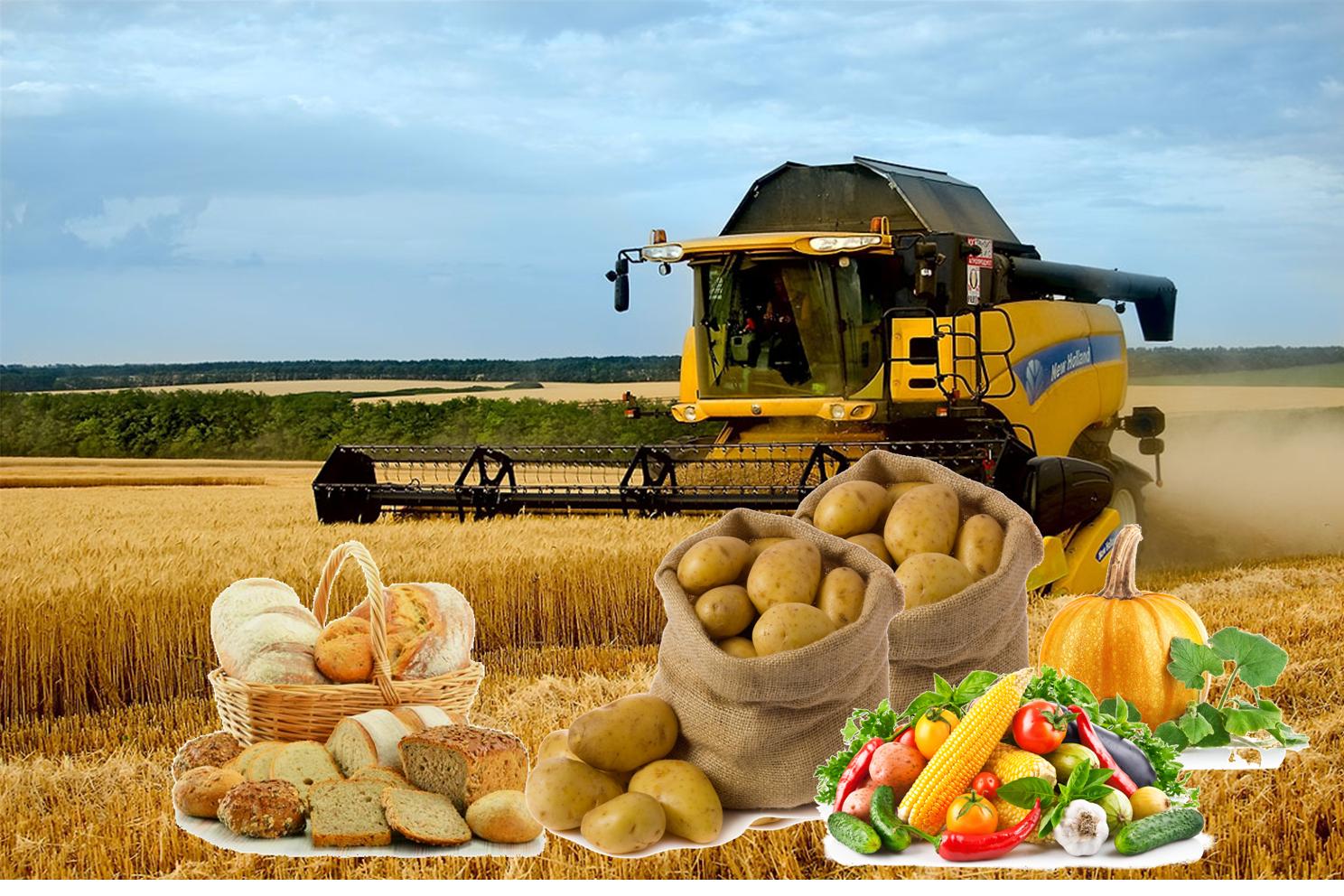 Смешные картинки, картинки сельхозпродукции