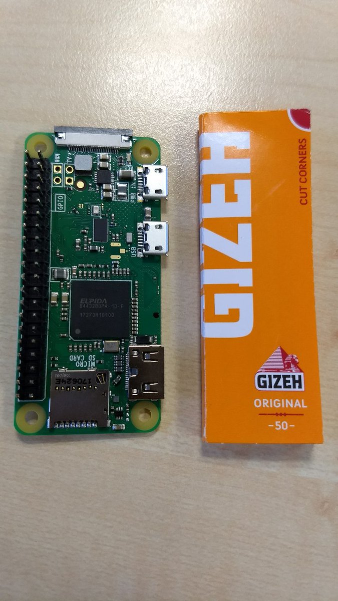 Atari_MegaSTe's tweet photo. Ist das Ding niedlich. Muss man das gießen damit es wächst? #zeropi (Blättchen for scale) https://t.co/xkuBXUk9mU