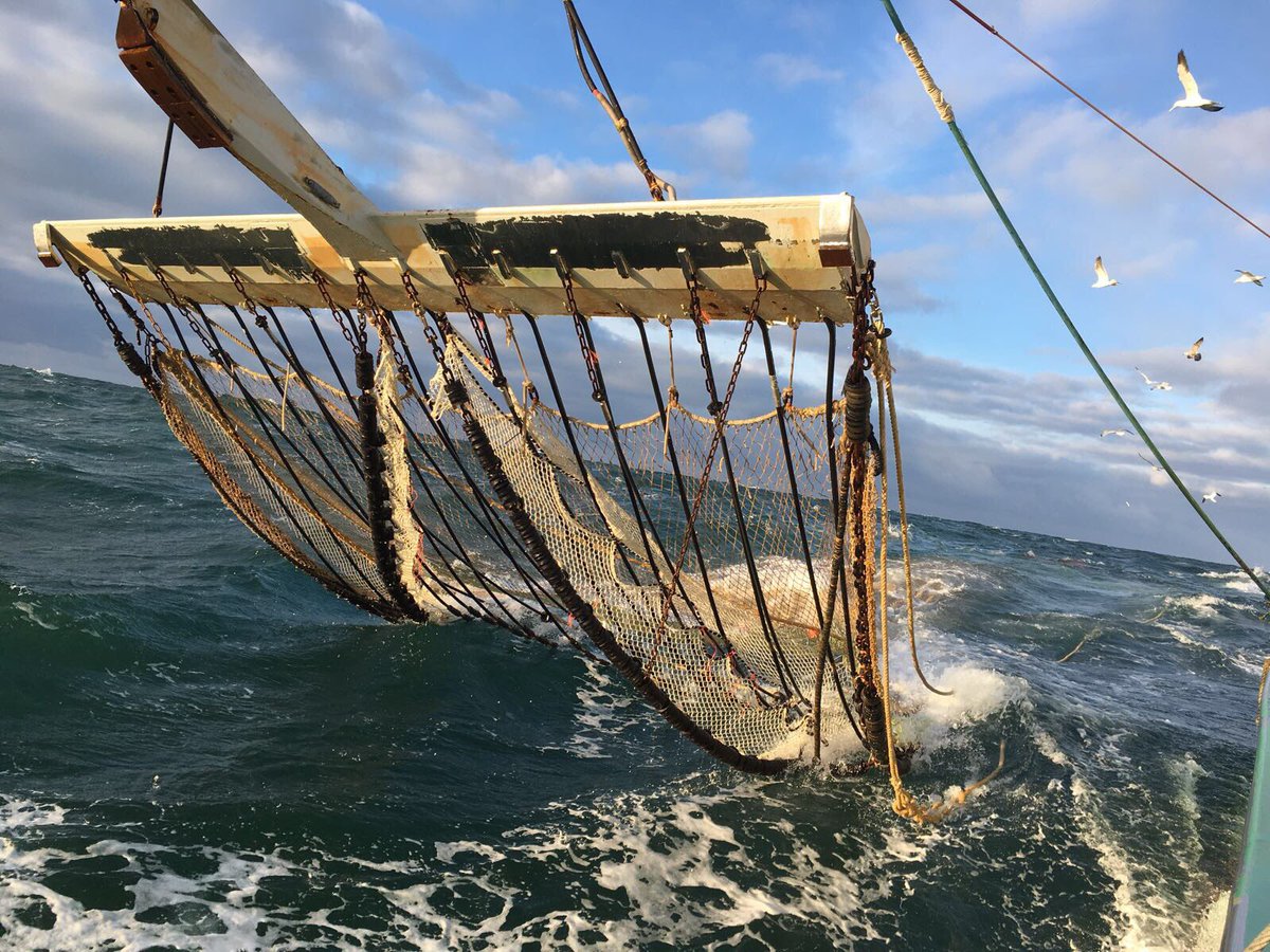 Peter van Dalen geeft in een gloedvol betoog antwoord op alle harde kritiek op pulsvisserij Maar we vreze dat het aan dovemansoren is gericht
