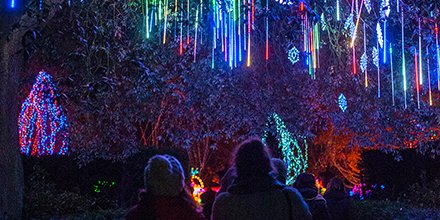 Magical Lantern tweet media