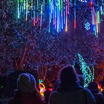Photo by Magical Lantern (@MagicalLantern)