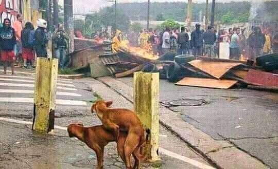 Tonytpro's tweet photo. #TweetPicYourFirstDayOnTwitterInAMeme 
Started getting followers and I followed back (made it my bitch) https://t.co/iGfxOnl22d