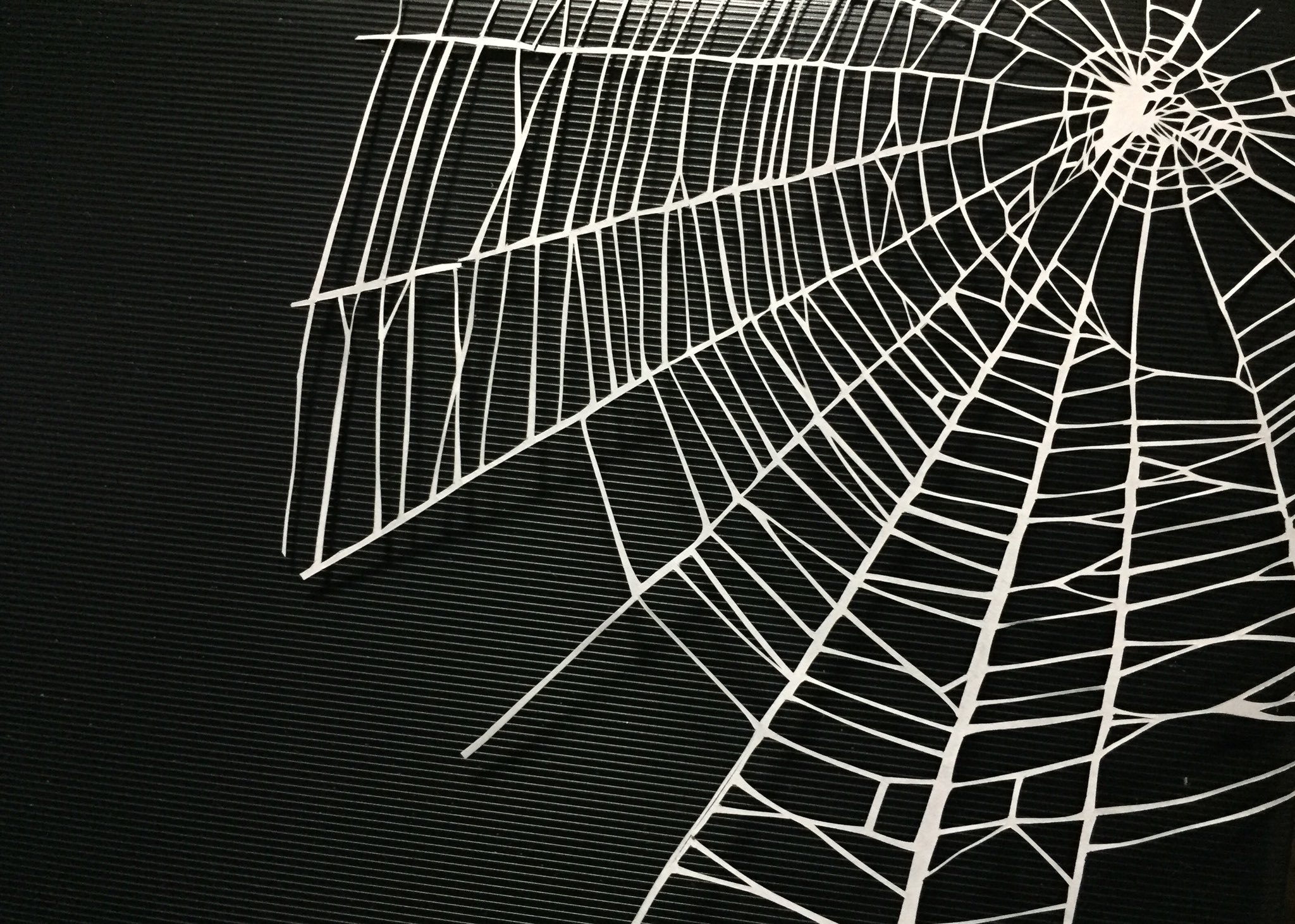 こめこ 奈美 切り絵 切り絵で蜘蛛の巣作りました 切り絵 T Co Zzwez3hcjq Twitter