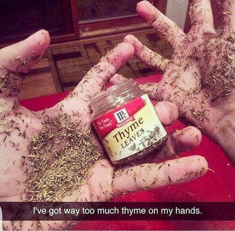 sunshinemikey35's tweet photo. #thyme #funwithcooking https://t.co/2sdOo2sfd2
