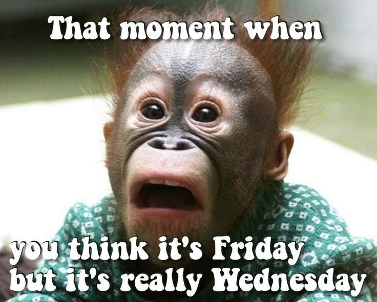 Babe_Williamss's tweet photo. Happy Morning Guys..... #WednesdayWisdom 😋😁 https://t.co/aJyPGwT56O