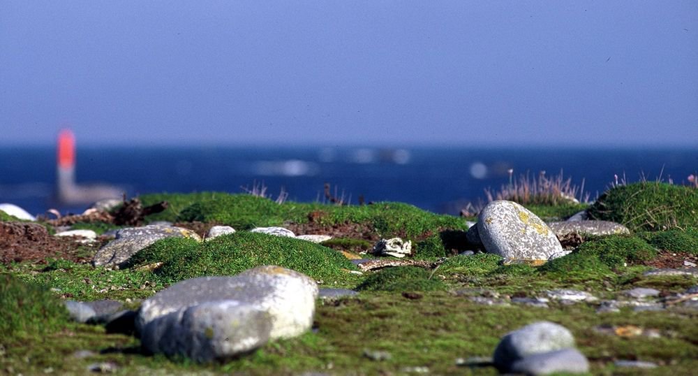 3 principles for an economy that works: Design out waste &amp; pollution, keep products &amp; materials in use, and regenerate natural systems.