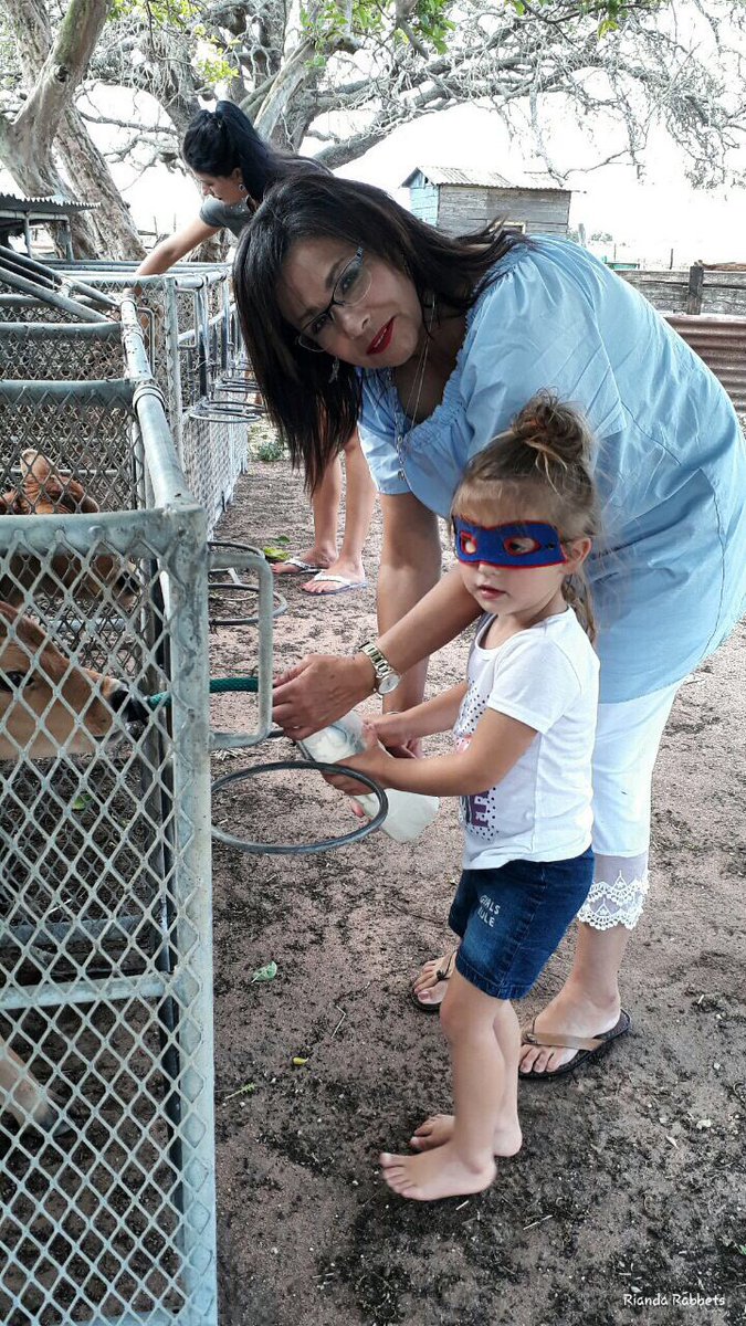 afarmstory_stay's tweet photo. Fun for the whole family on the farm at A Farm Story! #Stilbaai #SlowLiving #FarmLife https://t.co/cV99k9FMml