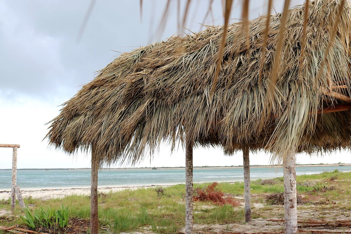MiCayitoCuba's tweet photo. En Cayo Guillermo. Ahora mismo. #Cuba https://t.co/cMaJmC55tb
