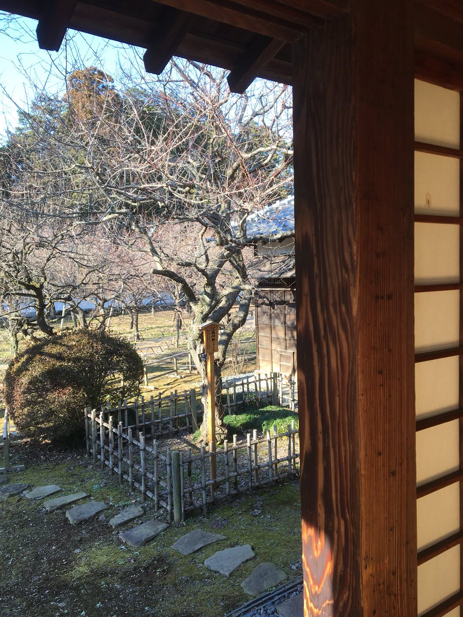 ただいま…水戸は町中にたくさん史跡があってとても楽しかったです。
レンタサイクル使って主要観光スポットは一通りまわれました。徳川ミュージアム行く途中で道に迷って延々と長い道を走ったけど、徒歩だったらたぶん死んでた。