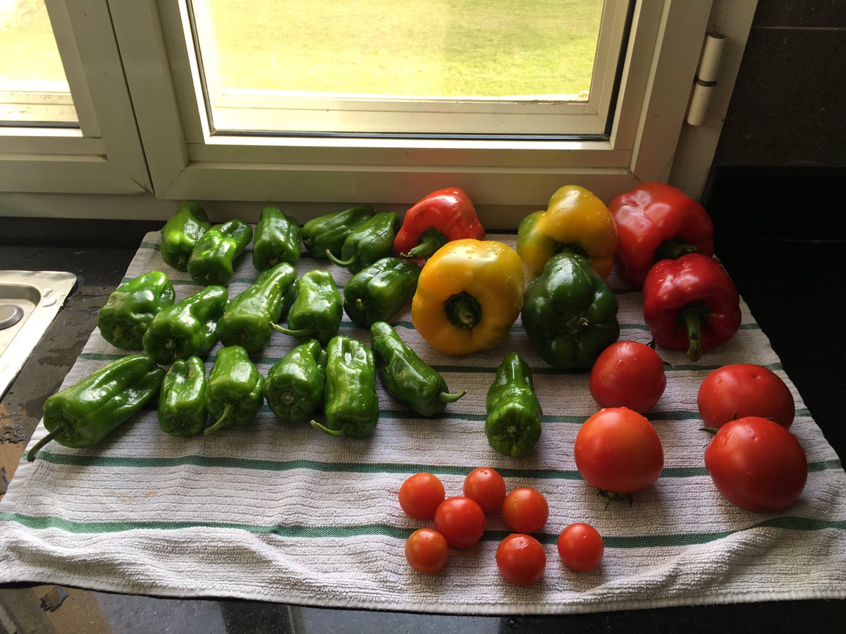 Jdmacklin1's tweet photo. When you have the most incredible, generous Egyptian friend! ❤️ (She must worry we don't know how to buy groceries--and this is less than HALF of what she brought) #ExpatLiving #CairoLife 🇪🇬#DinaLove https://t.co/J80fz2zWsV